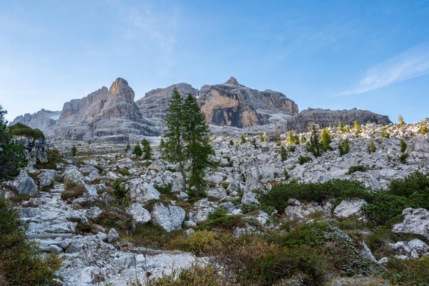 Tourist path with beautiful dolomite landscape in the background Dolomites Italy