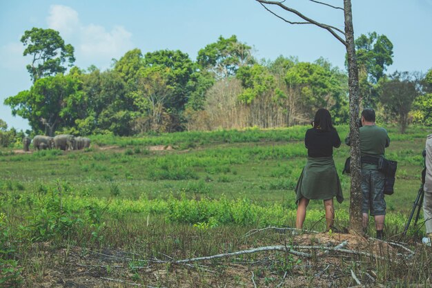 Foto elefante turistico del fotografo sulla montagna a khao yai thailand