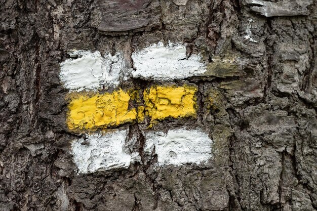 Tourist sign on the tree for a tourist trip