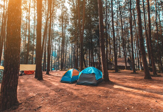 Tourist tent camping in mountains