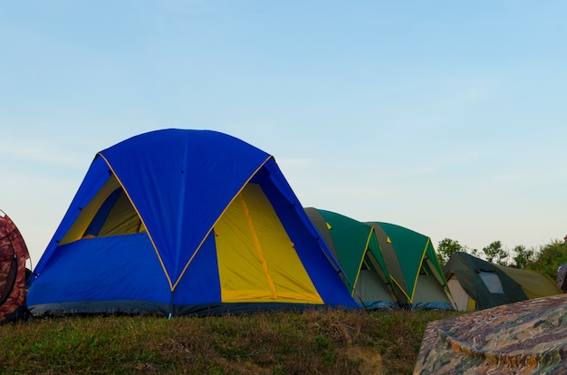 Туристическая палатка в лесном лагере среди лугов