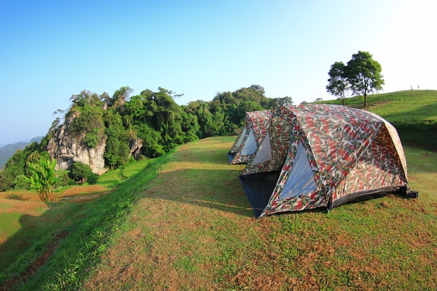 Tourist tent in forest camp