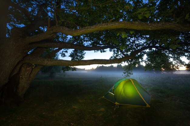 Una tenda turistica sotto un'enorme quercia si erge al mattino presto nell'alba nebbiosa di un nuovo giorno. una torcia brilla all'interno della tenda. viaggiare selvaggi nella natura