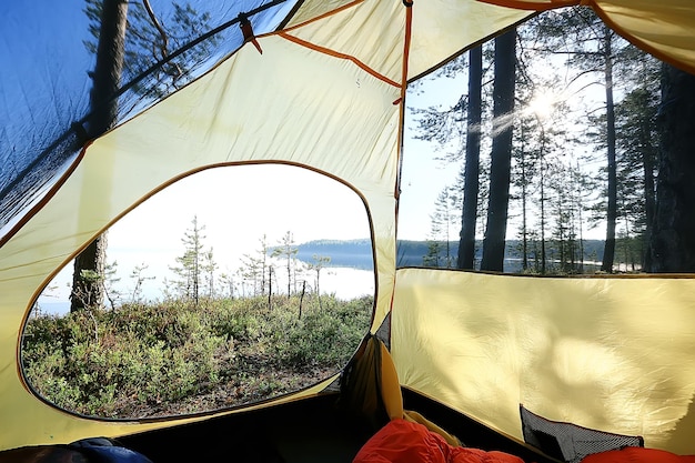 tourist tent inside summer forest / summer holidays in the forest, tent inside view, camping