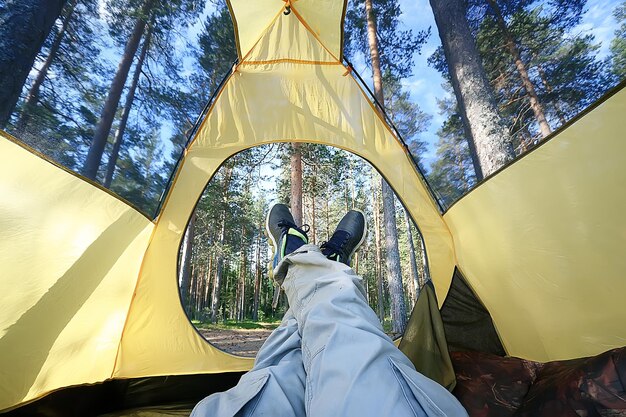 tourist tent inside summer forest / summer holidays in the forest, tent inside view, camping