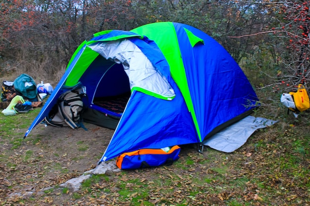 Туристическая палатка на лужайке в лесу