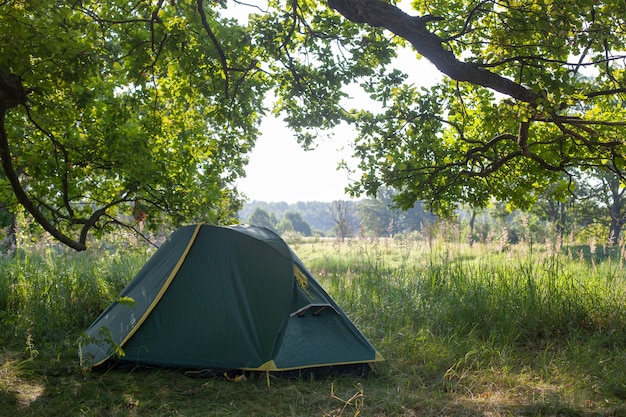 A tourist tent stands on the green grass near the river under a huge oak tree. travel wild in nature