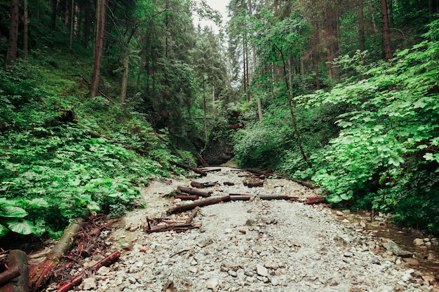 Tourist trail in the Tatra Mountains, Slovakia.