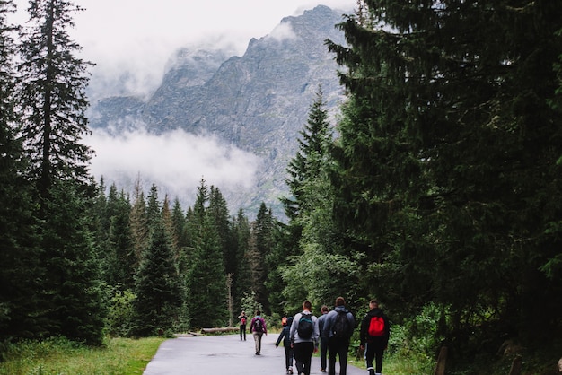 Tourist travel to a Morskie Oko, Zakopane, Poland