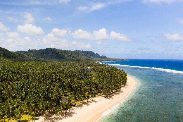 Tourist on a tropical beach in the Philippines