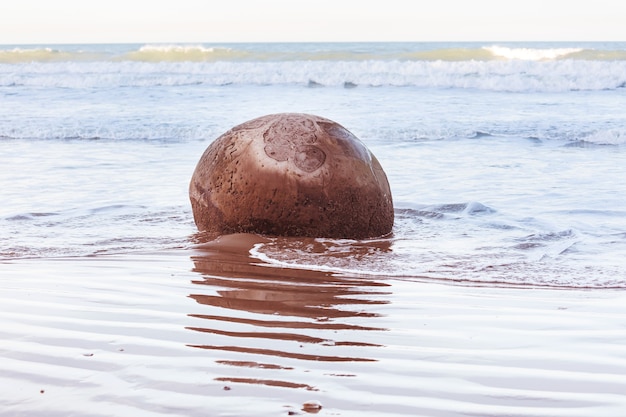 Tourist on unusual Moeraki Boulders,  Koekohe beach,Otago, South Island, New Zealand