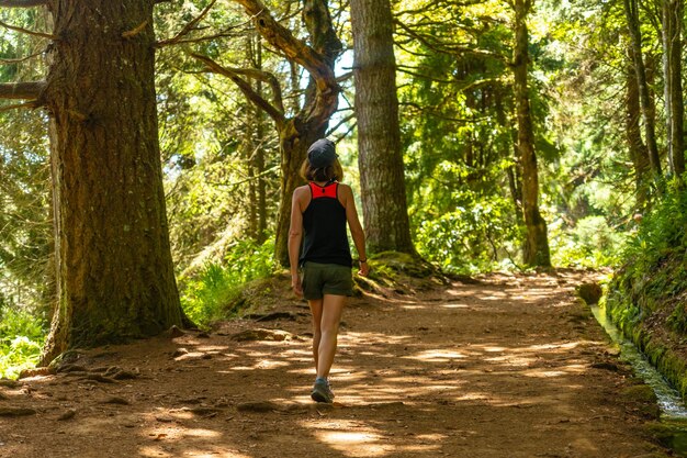 Passeggiate turistiche sul sentiero levada do caldeirao verde queimadas madeira portogallo