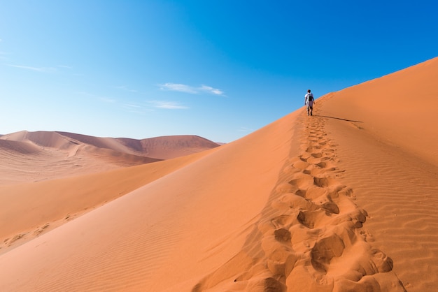 Tourist walking on the scenic dunes of Sossusvlei