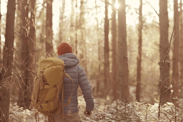 tourist in the winter forest / the guy travels against the backdrop of a winter landscape with forest, snow and trees