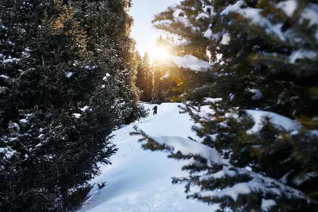 Tourist in the winter forest