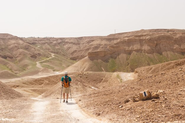 A tourist with sticks walks along a sandy road through the Judean Desert