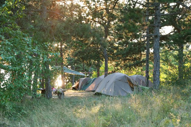 touristic camp with tents in the summer forest