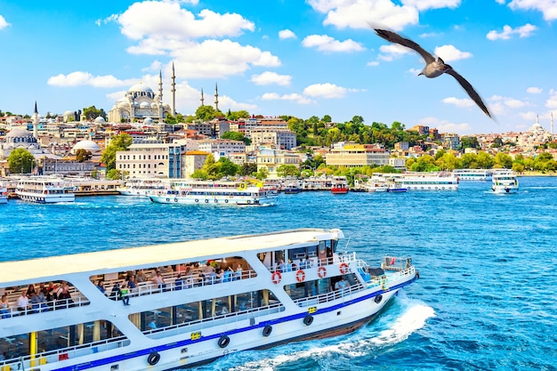 Photo touristic sightseeing ships in golden horn bay of istanbul and view on suleymaniye mosque with sultanahmet district. seagull on the foreground. istanbul, turkey during sunny summer day.