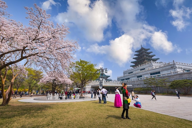 写真 春の桜の花と観光客 - 韓国のソウルにあるギョンボクグン宮殿