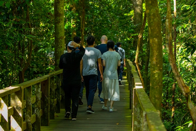 Tourists in the Animal Conservation Park, a tourist destination in Southeast Asia, Sandakan, Sabah, Borneo, Malaysia