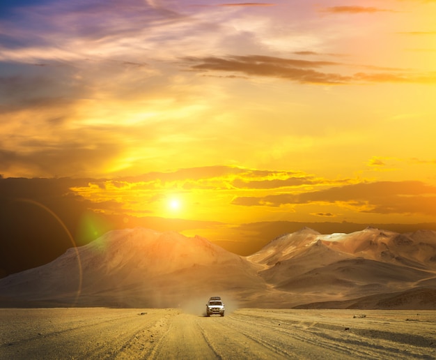 Tourists in car passing desert