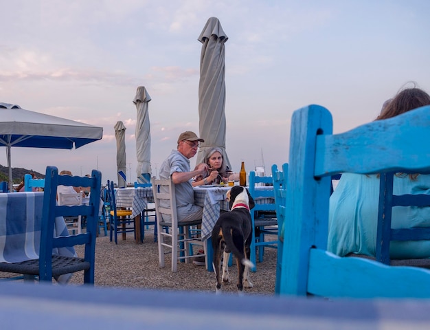 Tourists eat in a tavern with traditional furniture and feed a
stray dog on embankment in greece