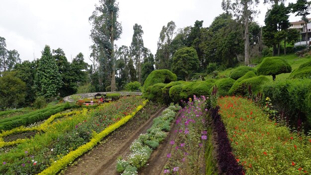 Tourists enjoying the beautiful scenic garden of chettiar park