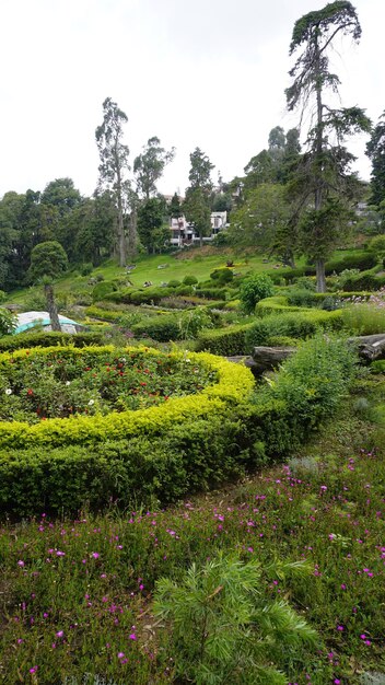 チェティアール公園の美しい景色の庭園を楽しんでいる観光客