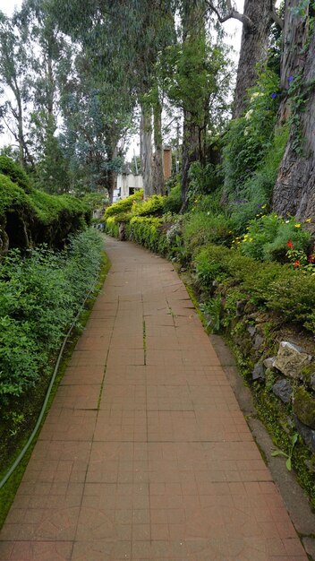 Фото Туристы наслаждаются прекрасным живописным садом парка четтиар