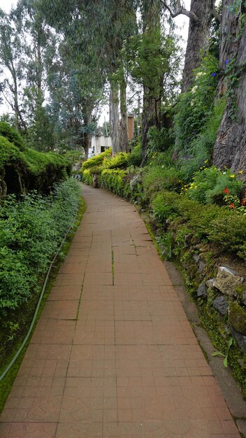 写真 チェティアール公園の美しい景色の庭園を楽しんでいる観光客