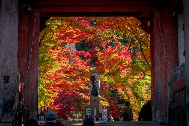 tourists at the entrance to Daigoji