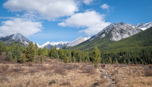 Foto turisti che fanno un'escursione attraverso la bella valle alpina