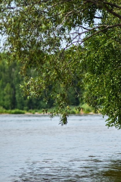 tourists relax on the Volga River