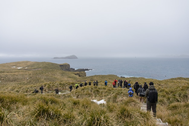 Tourists on South Georgia Island