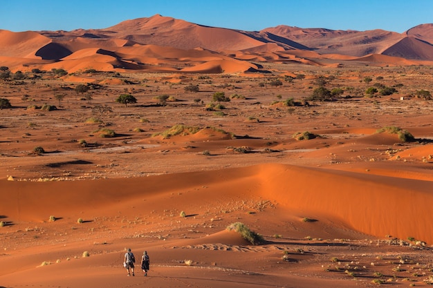 Namib 사막 Sossusvlei에서 걷는 관광객