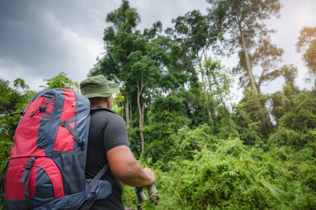 Tourists watching bird hornbill and monkey with binoculars in\
the tropical forest. khao yai national park, thailand. bird,\
hornbill and monkey watching tour. image of the concept of\
eco-tourism.