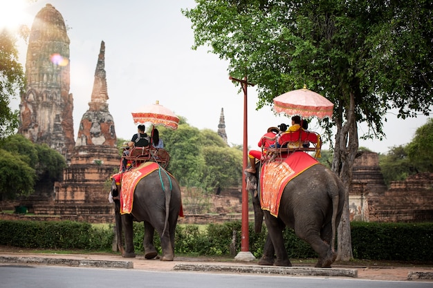 アユタヤ歴史公園のWat Chaiwatthanaram寺院で象を持つ観光客