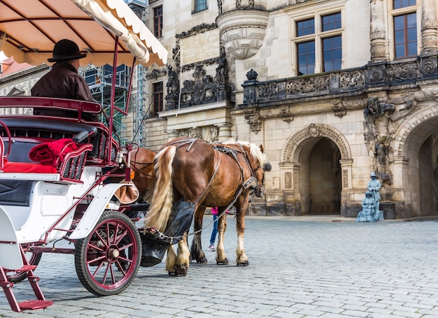 Tourwagen met een paard in de oude Europese stad.