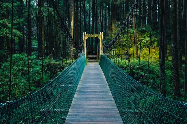 Touwbrug naar het bos in Alishan National Forest Recreation Area.