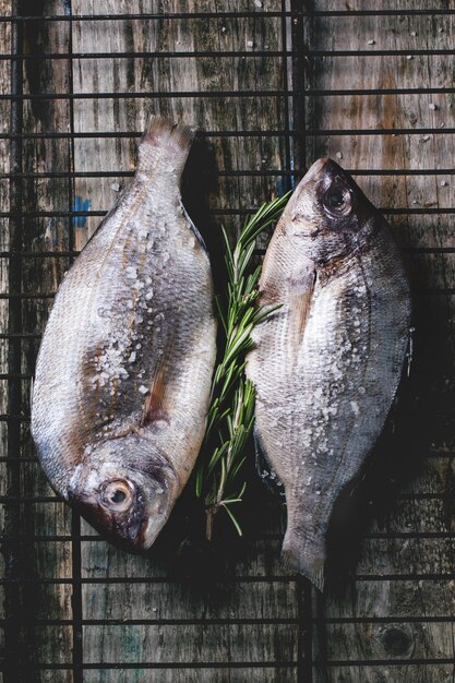 그릴에 로즈마리와 함께 원시도라도 물고기를 견인