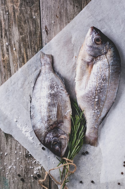 Tow raw dorado fish with rosemary