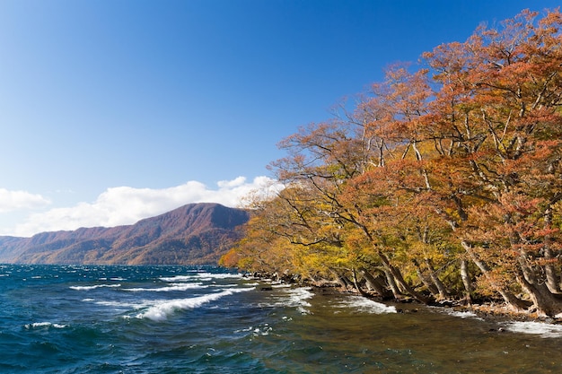 Towada Lake in autumn season