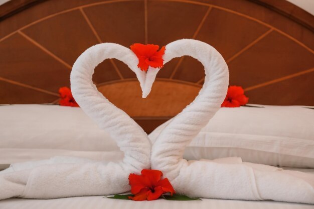 Photo towel swans and flowers on bed in hotel room