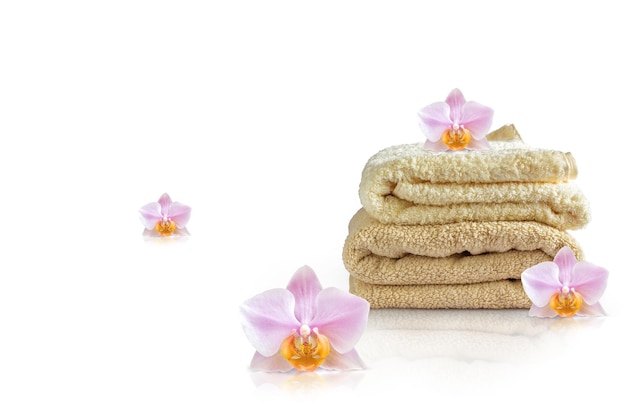 Towels and flowers on a white background