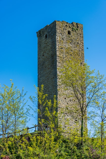 Tower in Castelletto d'Erro