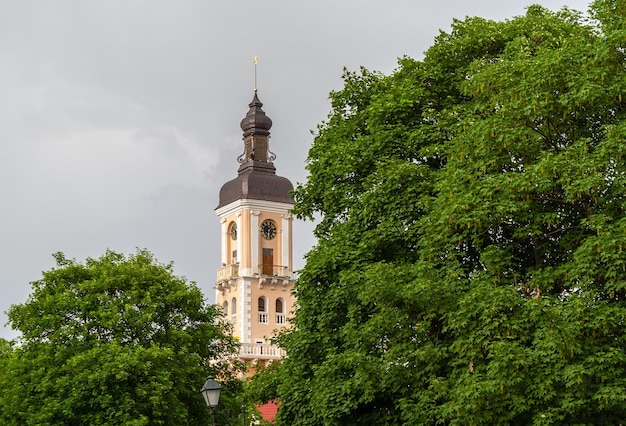 Photo tower of kamianetspodilskyi town hall ukraine