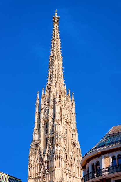 Tower of St Stephen Cathedral, or Saint Stephansdom Church in Old city center in Vienna in Austria. Wien in Europe. Panorama, cityscape. Travel and tourism view. Blue sky and empty copy space