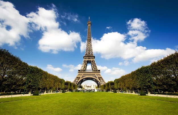 Photo a tower with a blue sky and trees in the background