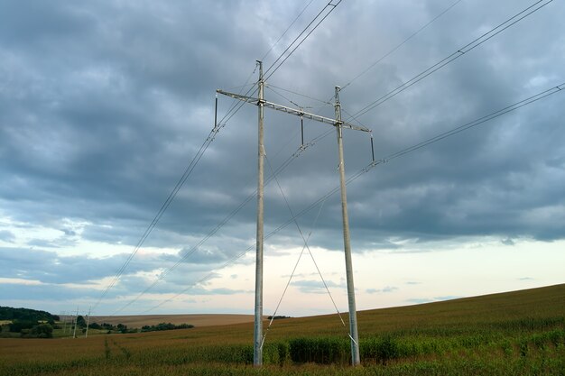 Tower with electric power lines for transfering high voltage electricity located in agricultural cornfield. Delivery of electrical energy concept.