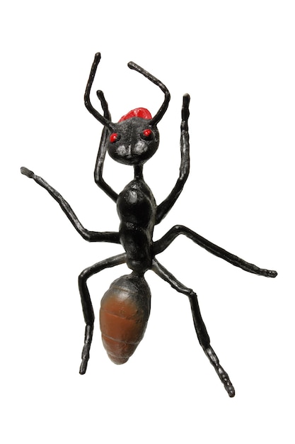 Toy Ant